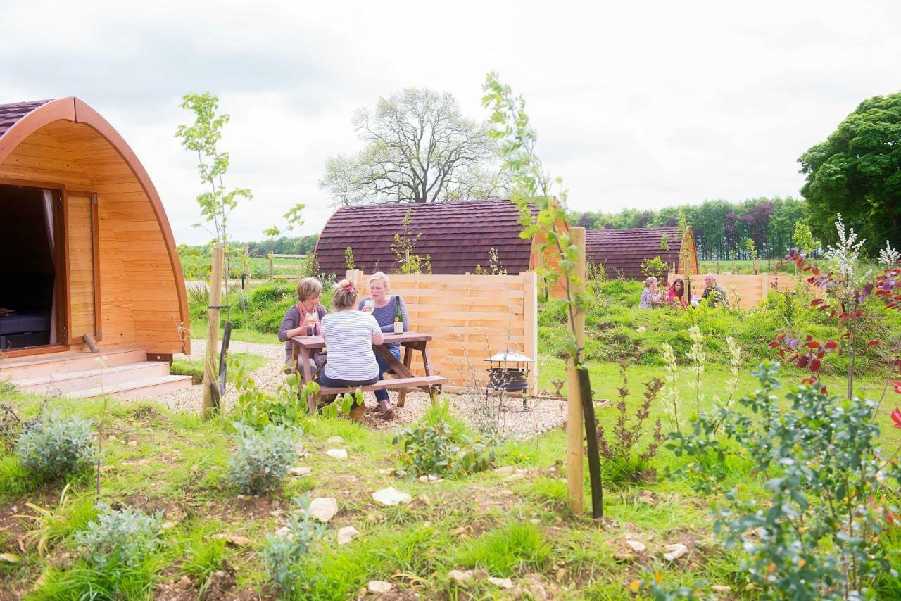 Mallow Glamping Pod Cheltenham Zewnętrze zdjęcie
